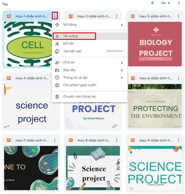 Tải ngay 50+ slide Powerpoint sinh học giúp bạn có bài thuyết trình đạt điểm cao