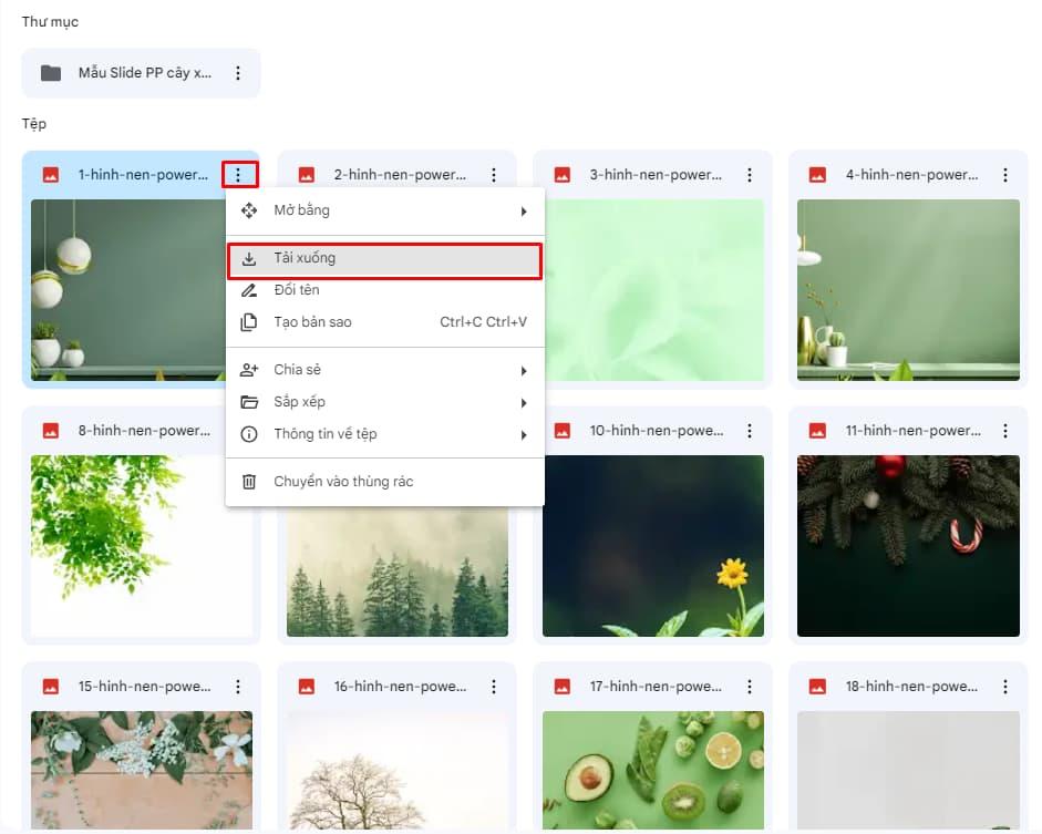 Tải 90+ hình nền powerpoint cây xanh mới nhất