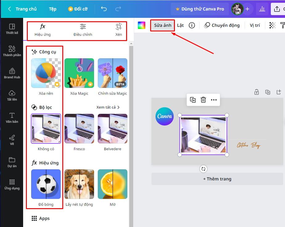 Tính năng nâng cao để cắt và sửa ảnh trên Canva