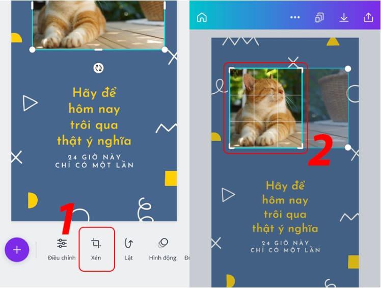 Xén hình phù hợp với kích thước mong muốn