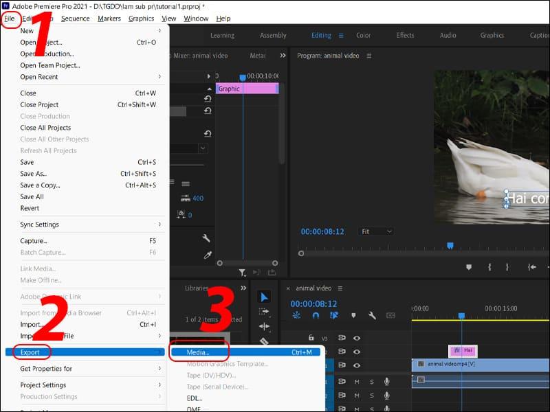 Cách chèn chữ trong Adobe Premiere 7