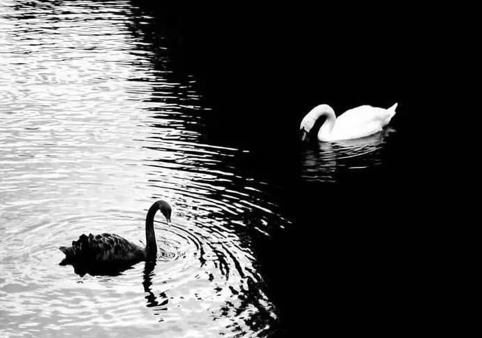 Ý tưởng tạo ra sự phản chiếu