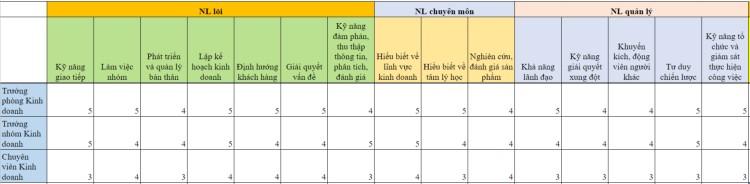Cách xây dựng khung năng lực theo vị trí trong doanh nghiệp