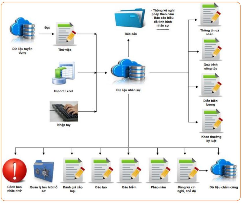THÔNG TIN NHÂN SỰ - YẾU TỐ CỐT LÕI ĐỂ XÂY DỰNG VÀ PHÁT TRIỂN NGUỒN NHÂN LỰC VỮNG CHẮC