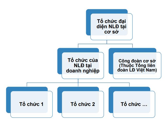 Những điểm mới trong vấn đề HỌC NGHỀ, CÔNG ĐOÀN, THƯƠNG LƯỢNG TẬP THỂ VÀ TIỀN LƯƠNG của Bộ Luật lao động 2019