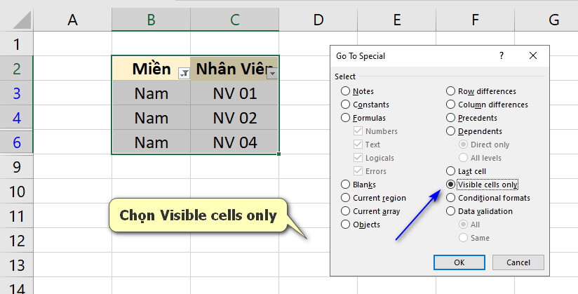 Hướng dẫn cách copy chỉ những giá trị hiển thị sau khi lọc trong Excel