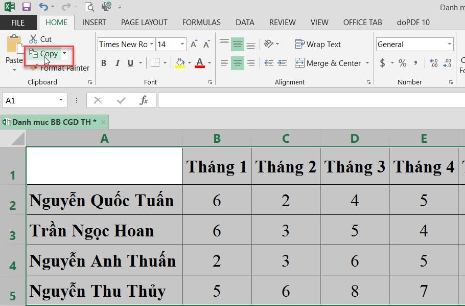 Sao chép vùng dữ liệu đã chọn