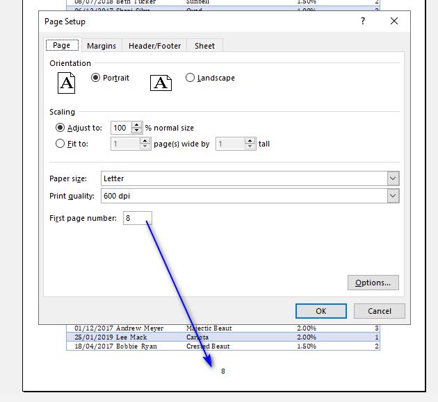 3 cách đánh số trang trong Excel nhanh và chuẩn