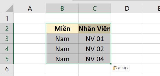Hướng dẫn cách copy chỉ những giá trị hiển thị sau khi lọc trong Excel