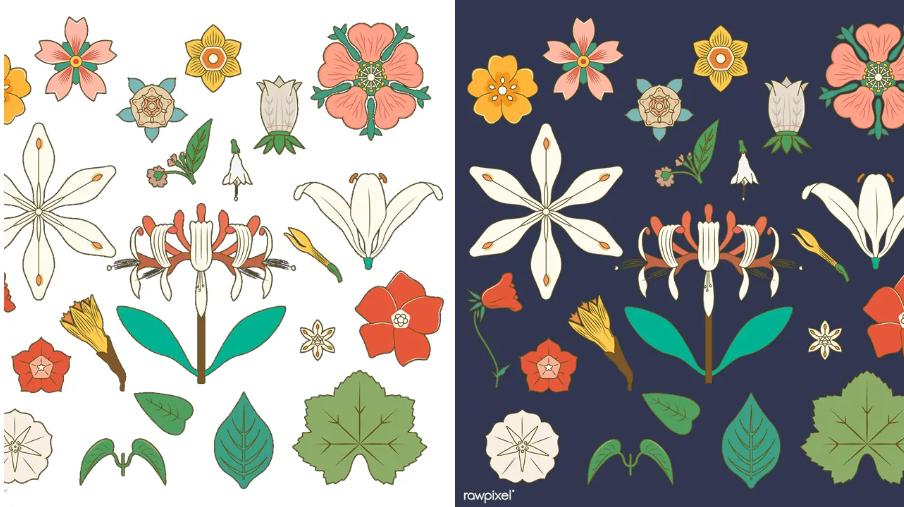 Hướng dẫn cách làm ảnh trong suốt (Picture Transparent) trong PowerPoint