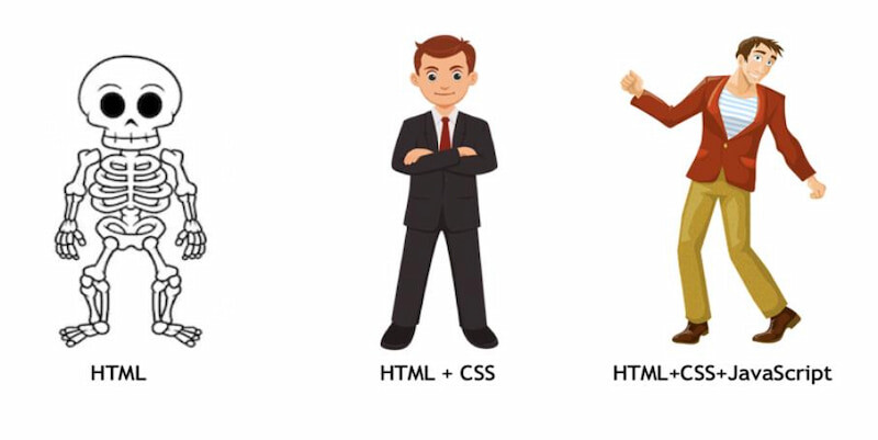 Lập trình viên web cần học những gì? Kiến thức quan trọng cần lưu ý