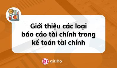 Giới thiệu các loại báo cáo tài chính trong kế toán tài chính