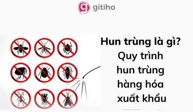 Hun trùng là gì? Hướng dẫn quy trình để hun trùng hàng hóa xuất khẩu