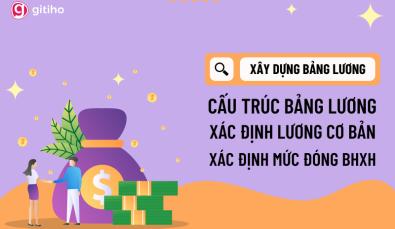 Cách xây dựng thang bảng lương, xác định mức đóng BHXH và lương cơ bản