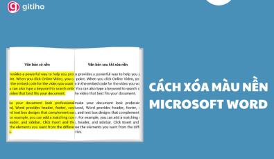Hướng dẫn cách xóa màu nền trong Word chuẩn cho mọi phiên bản