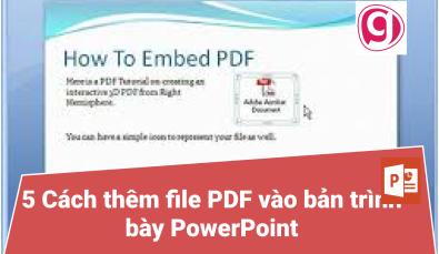 5 Cách thêm file PDF vào bản trình bày PowerPoint