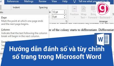 Hướng dẫn đánh số trang và chỉnh sửa số trang trong Word