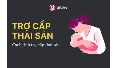 Trợ cấp thai sản: Quyền lợi và cách tính trợ cấp thai sản 2022