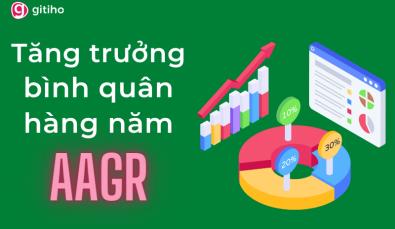 Hướng dẫn tính tốc độ tăng trưởng bình quân hàng năm (AAGR) bằng Excel