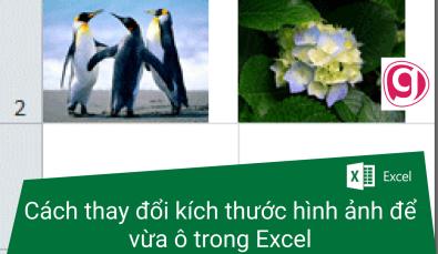 Hướng dẫn chỉnh kích thước ảnh để vừa ô trong Excel