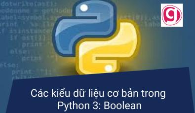 Các kiểu dữ liệu cơ bản trong Python 3: Boolean
