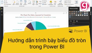Hướng dẫn trình bày biểu đồ hình tròn (hình bánh) trong Power BI