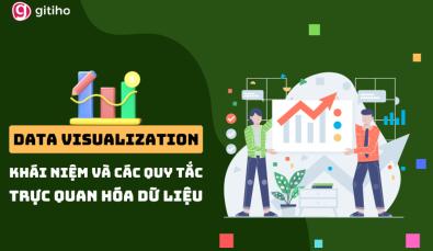 Data Visualization là gì? Các quy tắc trực quan hóa dữ liệu
