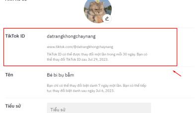 Cách thay đổi ID Tiktok chưa đủ 7 ngày cực hay