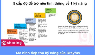 Mô hình tiếp thu kỹ năng của Dreyfus ứng dụng trong hoạt động đào tạo như thế nào?