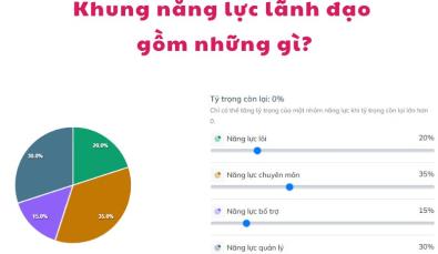 Khung năng lực lãnh đạo gồm những gì? Ví dụ cụ thể