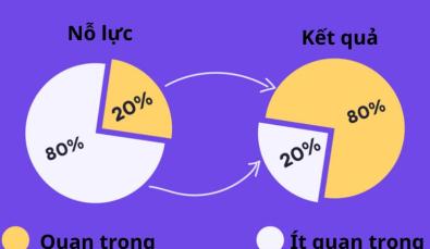 Nguyên tắc Pareto (80/20) là gì? Bí quyết làm ít được nhiều