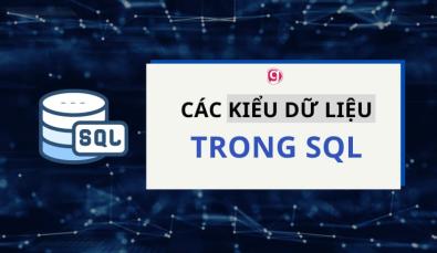 Các kiểu dữ liệu trong SQL là gì? Khi nào thì sử dụng chúng