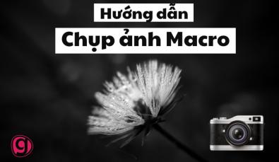 Cách chụp ảnh macro: Bí quyết ghi lại những khoảnh khắc độc đáo