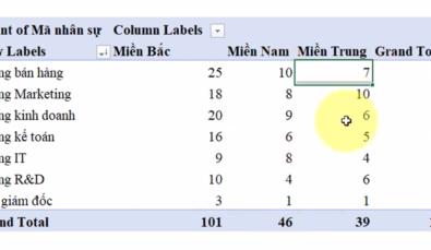 Micro Pivottable Cách sắp xếp dữ liệu và các bộ lọc trong Pivot Table