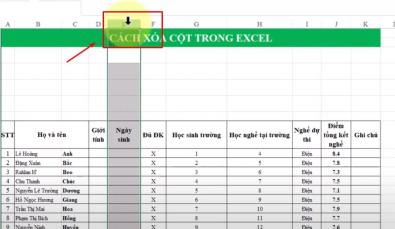 Hướng dẫn cách xóa cột, gộp cột trong Excel chi tiết