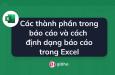 Các thành phần trong báo cáo và cách định dạng báo cáo trong Excel