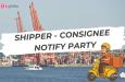 Phân biệt Shipper, Consignee và Notify Party trong xuất nhập khẩu