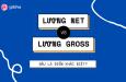 Lương GROSS là gì? Phân biệt phương pháp trả lương GROSS và NET