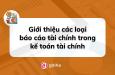 Giới thiệu các loại báo cáo tài chính trong kế toán tài chính