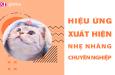 Hiệu ứng Powerpoint xuất hiện nhẹ nhàng cực kỳ chuyên nghiệp