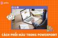 Cách phối màu trong Powerpoint cho slide chuyên nghiệp và ấn tượng