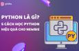 Python là gì? 5 cách học Python hiệu quả cho người mới bắt đầu