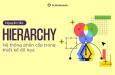 Hierarchy - Nguyên lý thiết kế chắc chắn bạn phải biết