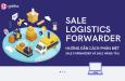Sales Logistics là gì? Phân biệt Sale hãng tàu và Sale Forwarder