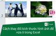 Hướng dẫn chỉnh kích thước ảnh để vừa ô trong Excel