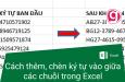 Cách thêm, chèn ký tự vào giữa các chuỗi dữ liệu trong Excel