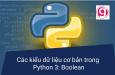Các kiểu dữ liệu cơ bản trong Python 3: Boolean