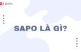 Sapo là gì? Tầm quan trọng của Sapo đối với bài viết chuẩn SEO