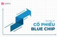 Cổ phiếu Blue chip là gì? Những điều cần biết về cổ phiếu Blue chip