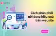 Hướng dẫn cách phân phối nội dung hiệu quả trên webiste